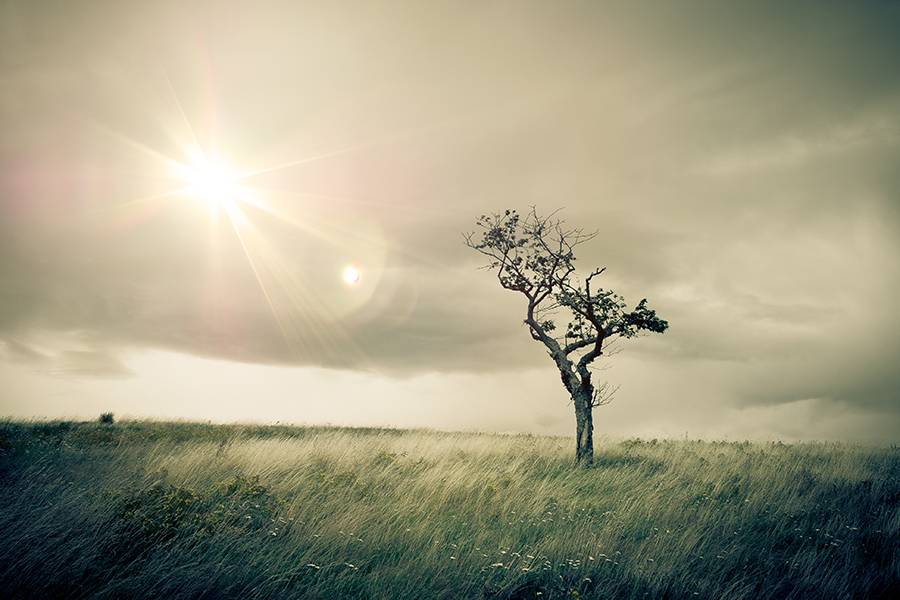 How can bereavement affect a child?