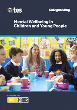Mental Wellbeing in Children and Young People | EduCare
