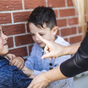 Use of Reasonable Force in Schools