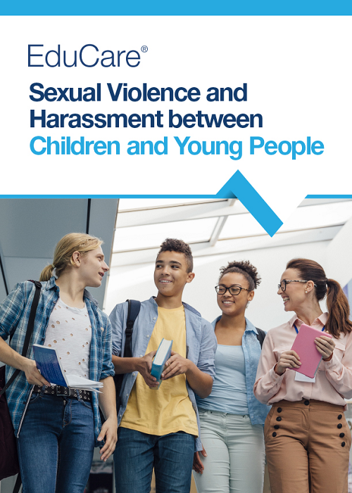 Sexual Violence and Harassment between Children and Young People