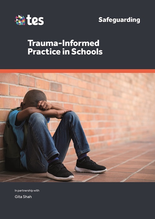 Trauma Informed Practice in Schools
