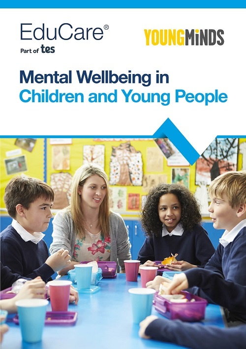 Mental Wellbeing in Children and Young People